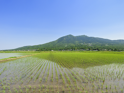 筑波山