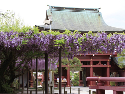 笠間稲荷神社