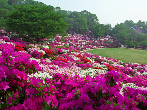 西山公園