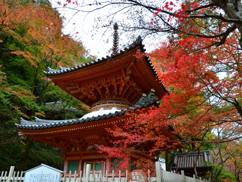 大威徳寺（牛滝山大威徳寺）