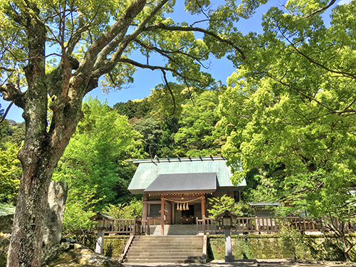 安房国一之宮 安房神社