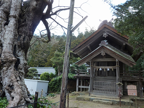 神魂伊能知奴志神社(命主社)