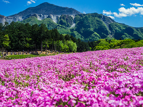 秩父市（埼玉県）