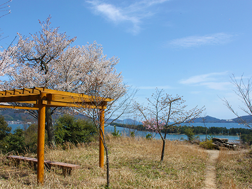 桜山展望所