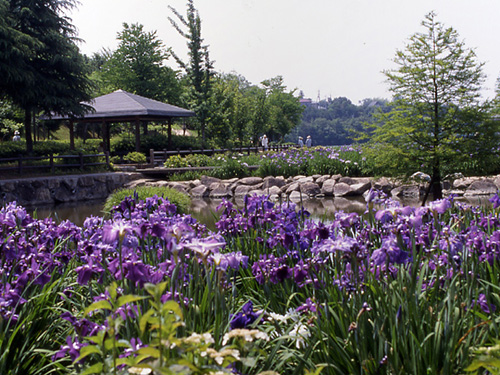 春日池公園