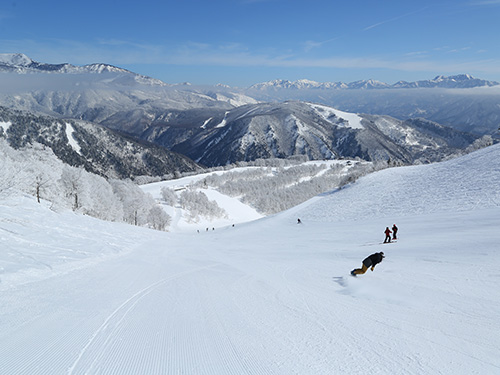 白馬八方尾根スキー場