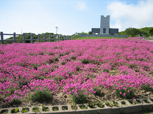 稚内公園