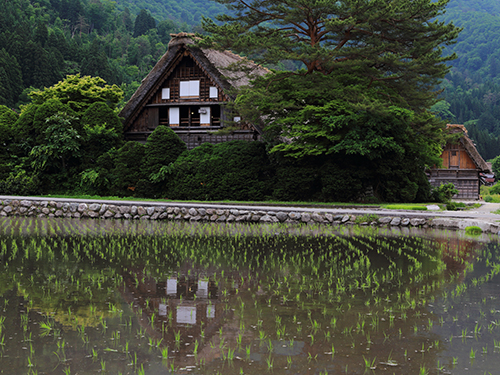 人々を惹き付けてやまない 白川郷 の旅が もっと楽しくなる観光スポットをご紹介 近畿日本ツーリスト
