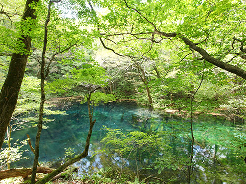 沸壺の池