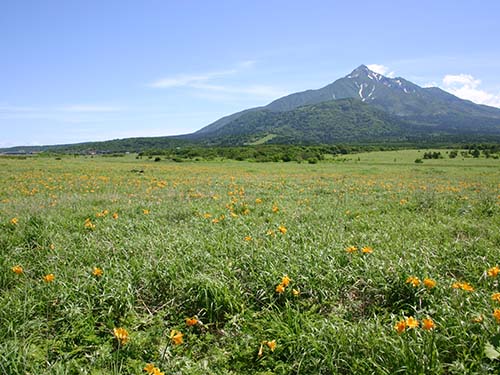 富士野園地