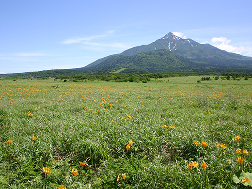 利尻富士やオタトマリ沼など利尻島観光でぜひ訪れておきたい名所をピックアップ！