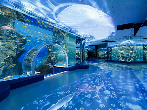 海に囲まれた能登半島の人気観光スポットをご紹介 温泉 海水浴 水族館のほか自然美を堪能 近畿日本ツーリスト