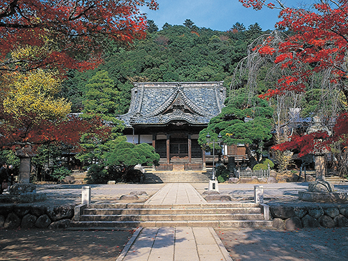 諸行無常の歴史を持つ伊豆の小京都 修善寺温泉街の観光名所を厳選紹介 近畿日本ツーリスト