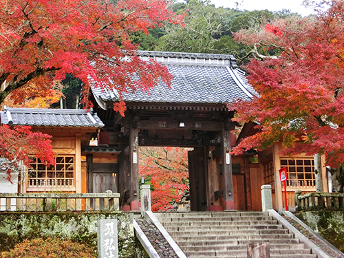 修禅寺  山門