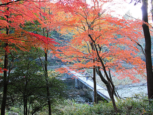 嵐山渓谷