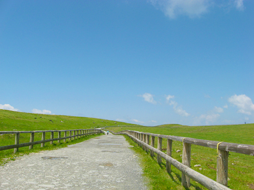 美ヶ原高原