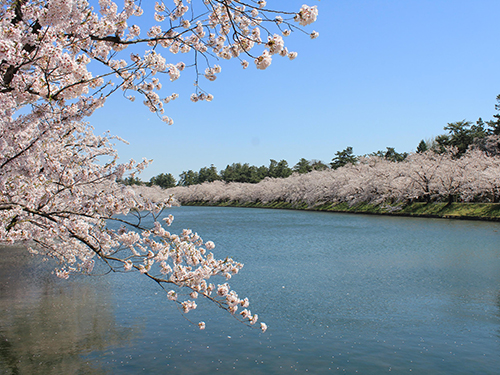 弘前公園