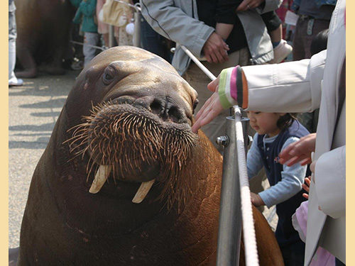 大分マリーンパレス水族館「うみたまご」