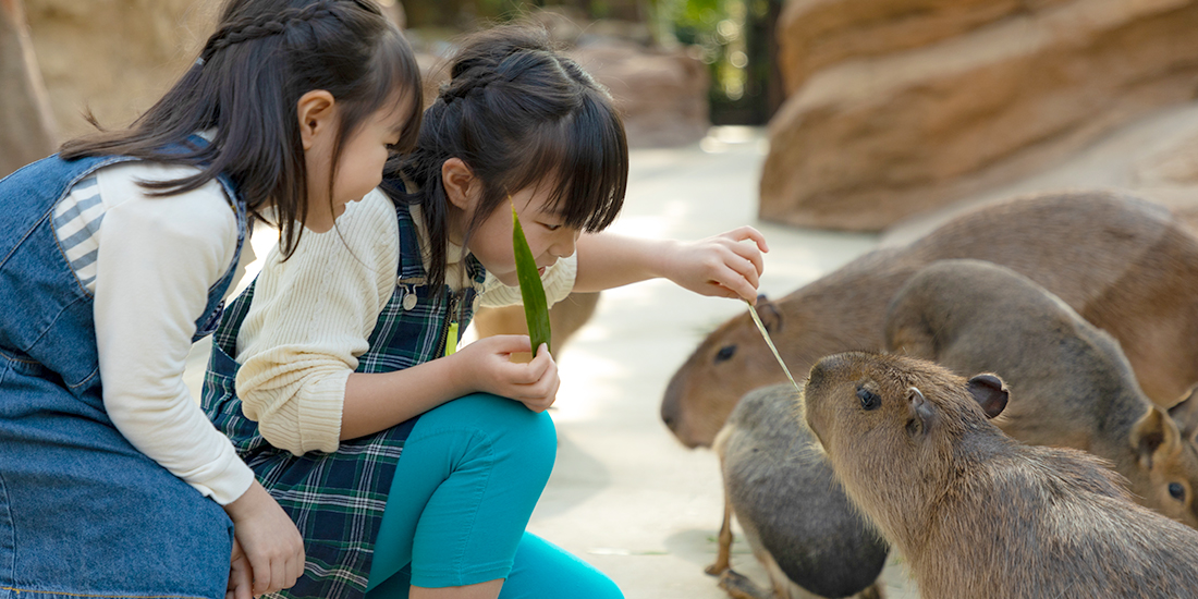 子連れ 旅行 おすすめ