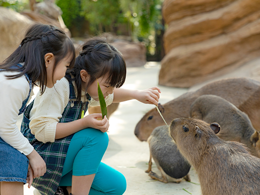 子連れ旅行を存分に楽しめる観光スポット！関西でおすすめの場所とは