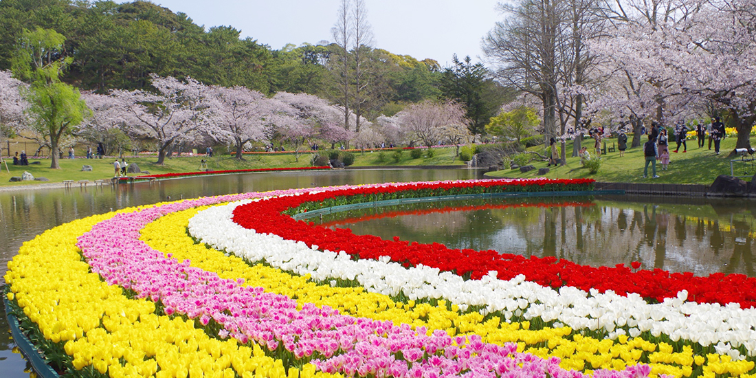 春を楽しもう！家族旅行におすすめの観光スポット14選を紹介│近畿日本ツーリスト