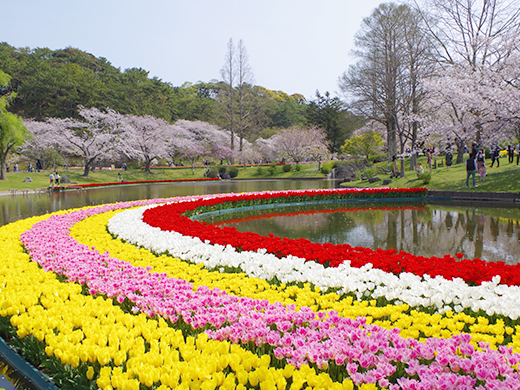 春を楽しもう！家族旅行におすすめの観光スポットを紹介