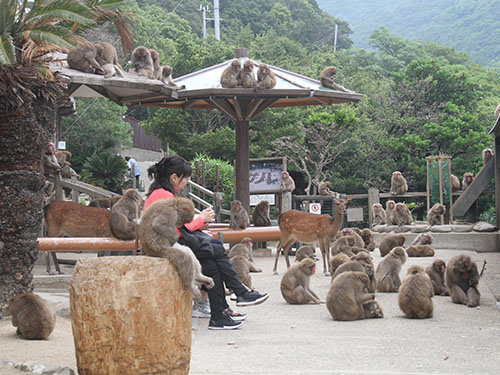 淡路島の 見る 食べる 遊ぶ 観光スポット31選をたっぷりご紹介 近畿日本ツーリスト