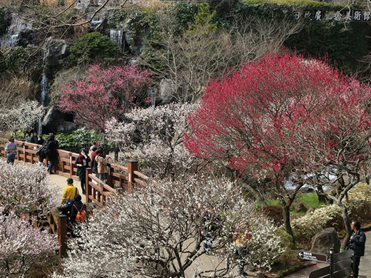 熱海梅園