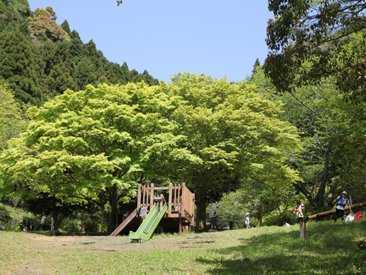 姫の沢公園