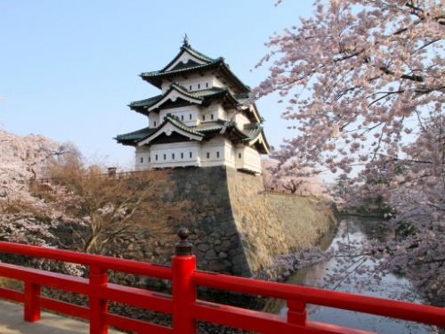 弘前公園の桜