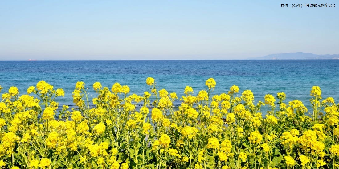 千葉 房総旅行におすすめの温泉宿 ホテル 旅館 近畿日本ツーリスト