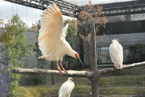 いしかわ動物園