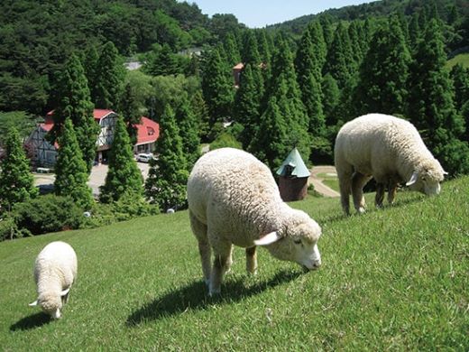 六甲山牧場