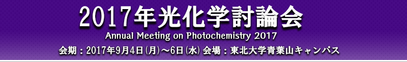 2017年光化学討論会
