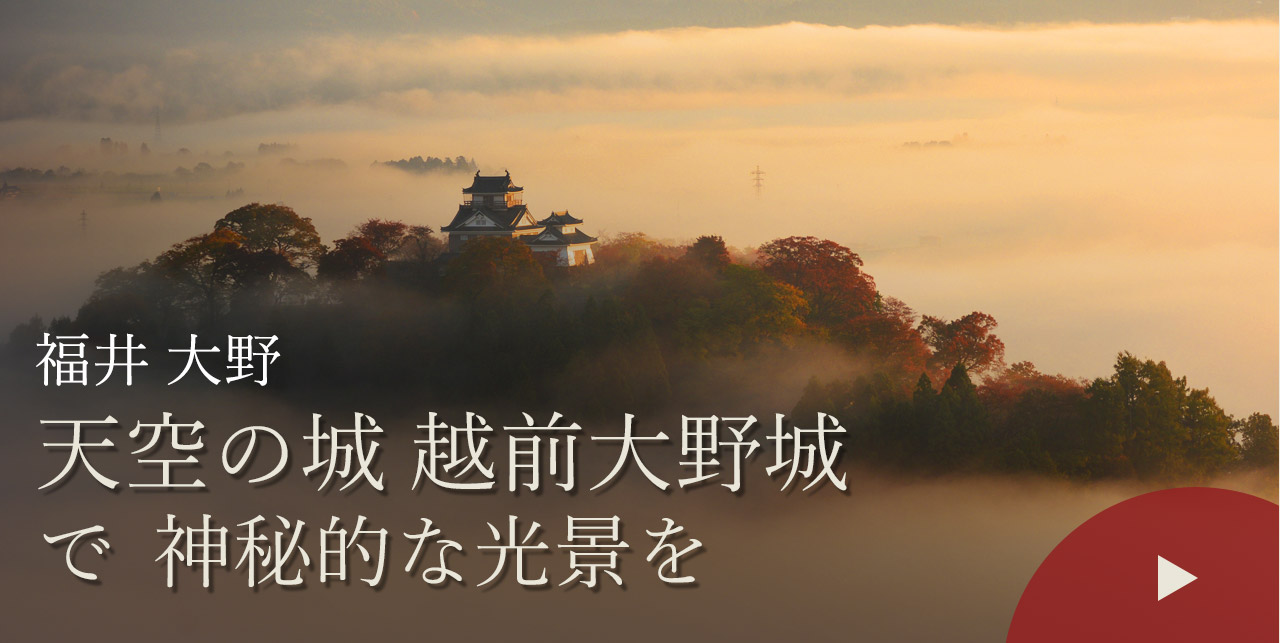 福井 大野　天空の城 越前大野城で神秘的な光景を