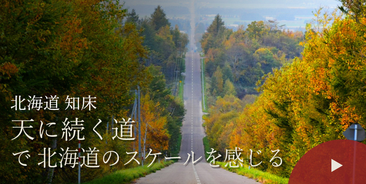北海道 知床　天に続く道で北海道のスケールを感じる