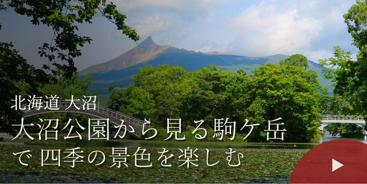 北海道 大沼　大沼公園から見る駒ケ岳で四季の景色を楽しむ