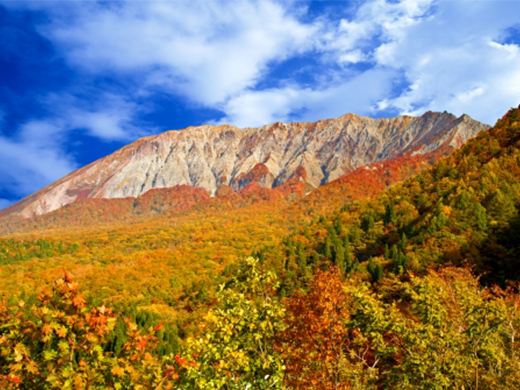 大山の紅葉イメージ