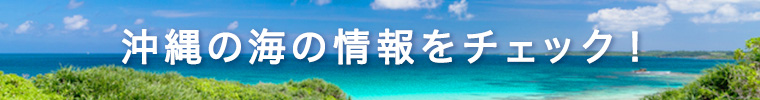 沖縄の海の情報をチェック！